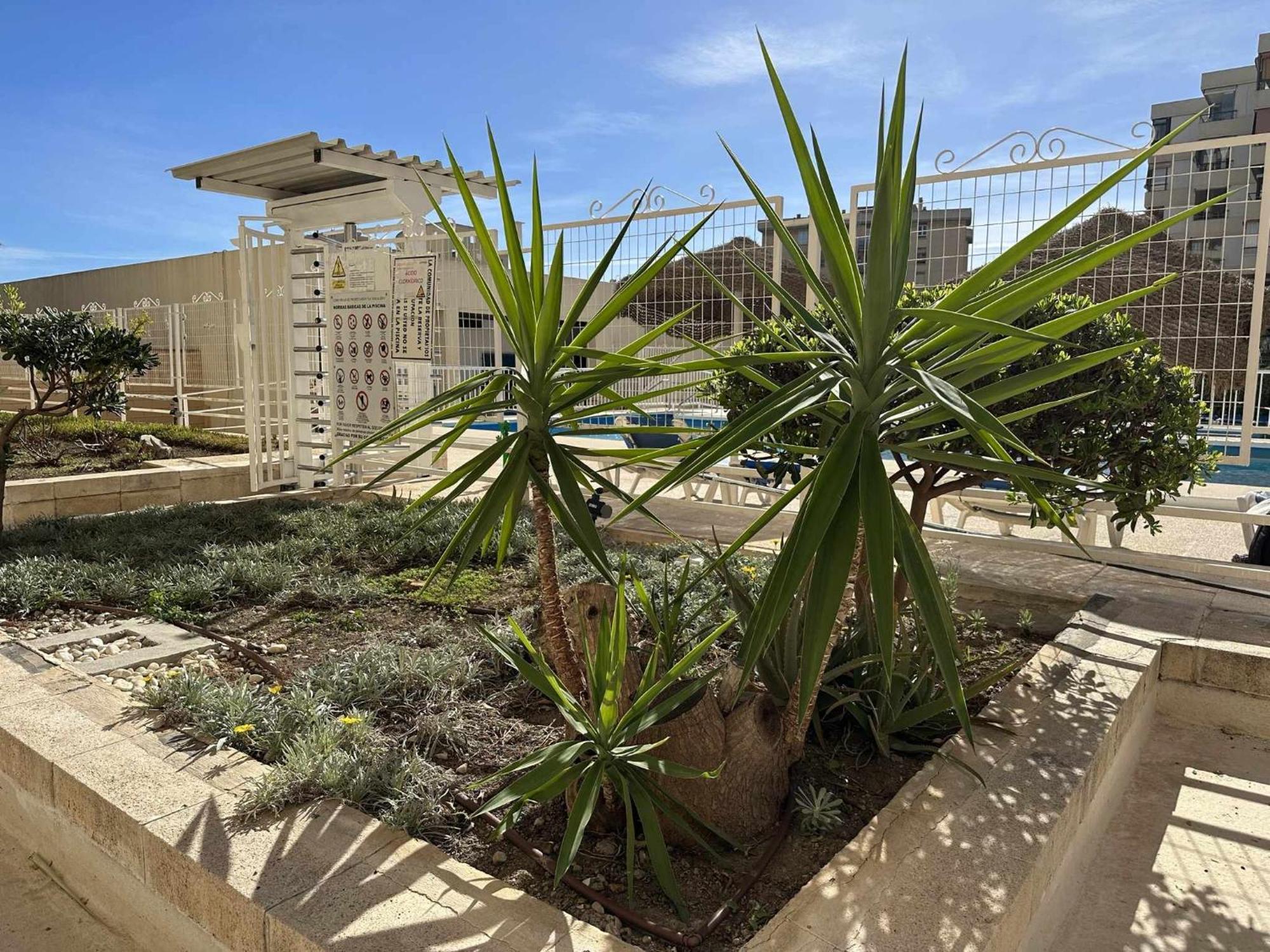 Apartamento Con Vista Al Mar En La Mitica Nogaler Τορρεμολίνος Εξωτερικό φωτογραφία